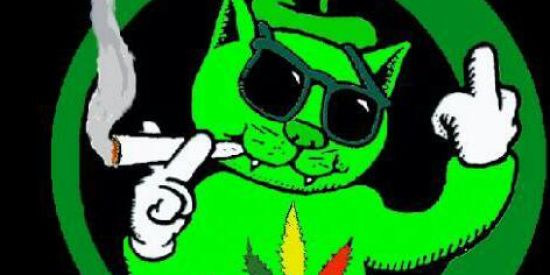 Imagem do grupo de WhatsApp §ø ø§ đøïďö🤪💥