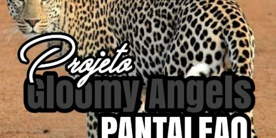 Imagem do grupo de WhatsApp ➍【Dร】🦁ραทταl૯αѳ🦁