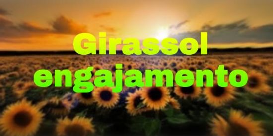 Imagem do grupo de WhatsApp Girassol engajamento💥