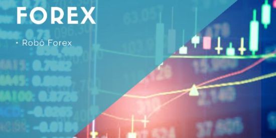 Imagem do grupo de WhatsApp Robô Nova Evolução 🚀