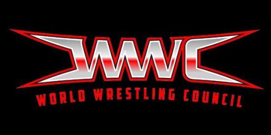 Imagem do grupo de WhatsApp 💙💙WWC❤️❤️