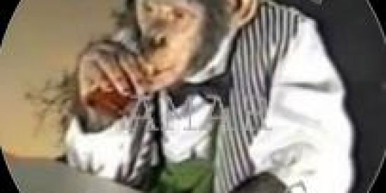 Imagem do grupo de WhatsApp Shitpost