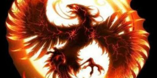 Imagem do grupo de WhatsApp 🦩RECRUTAMENTO DA ☬ƒท'x҉☬🦩