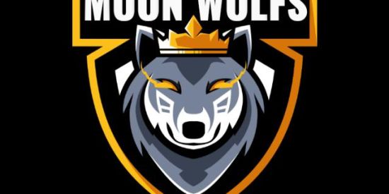 Imagem do grupo de WhatsApp RECRUTAMENTO MWS