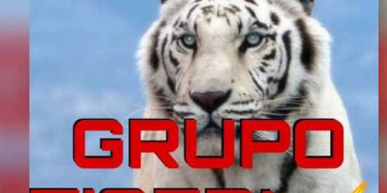 Imagem do grupo de WhatsApp *GRUPO TIGER’s⚡
