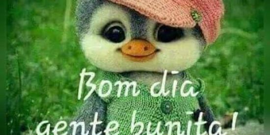 Imagem do grupo de WhatsApp ᓏz̷u̷e̷i̷r̷a̷ ̷2̷4̷h̷𖡁