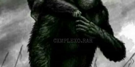 Imagem do grupo de WhatsApp Planeta dos Pedros 🦍