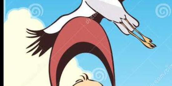 Imagem do grupo de WhatsApp Tudo para seu filho