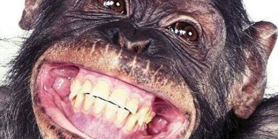 Imagem do grupo de WhatsApp 😎ZUAMOS GERAL😎