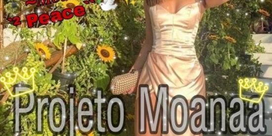 Imagem do grupo de WhatsApp Projeto de ganhar seguidores