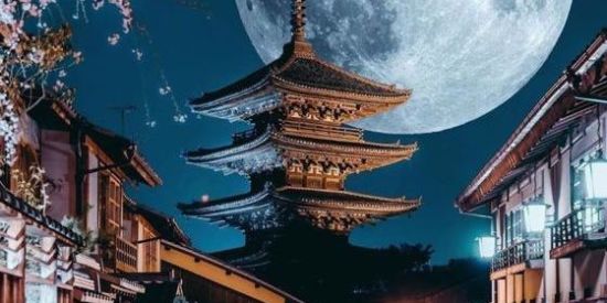 Imagem do grupo de WhatsApp 🏮 🍃RECEPÇÃO 🍃🏮