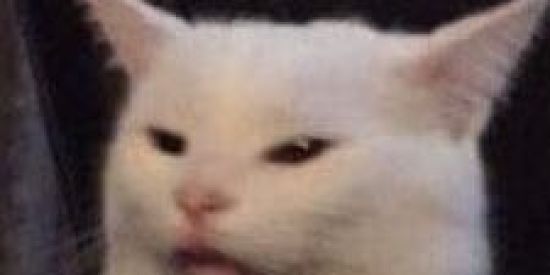 Imagem do grupo de WhatsApp Só zuera mermo:D