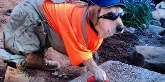 Imagem do grupo de WhatsApp Figurinhas 😎😂🥑