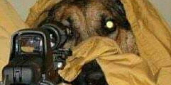 Imagem do grupo de WhatsApp portaria STICKER