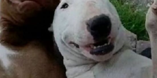 Imagem do grupo de WhatsApp GRUPO ANTE TEDIO😂