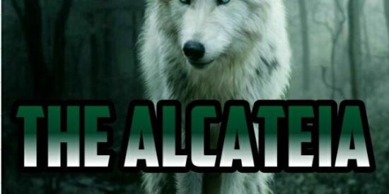 Imagem do grupo de WhatsApp Recrutamento The Alcateia