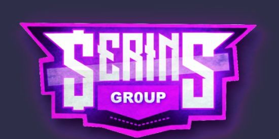 Imagem do grupo de WhatsApp $ᴇʀɪɴS