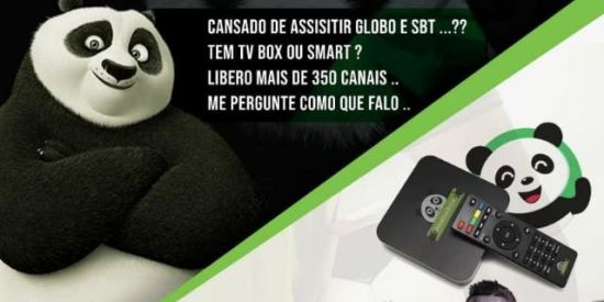 Imagem do grupo de WhatsApp Divulgação