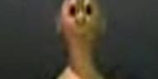 Imagem do grupo de WhatsApp ☂️ MerdaZap 😂