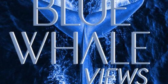 Imagem do grupo de WhatsApp 🔥🐋Blue Whale Views🐋🔥