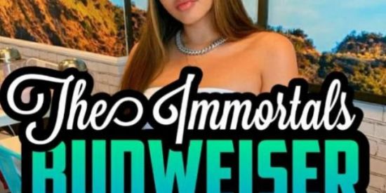 Imagem do grupo de WhatsApp 🔥Triagem Budweiser🔥