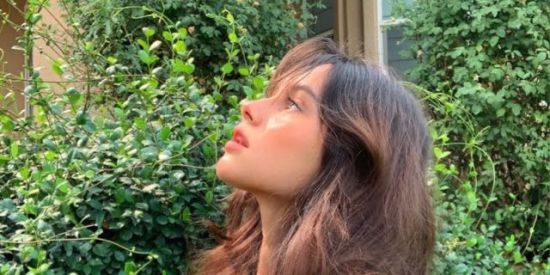 Imagem do grupo de WhatsApp Figurinhas 🍩