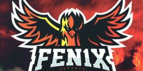 Imagem do grupo de WhatsApp TESTE PARA FÊNIX