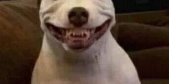 Imagem do grupo de WhatsApp 🅕🅘🅖🅤🅡🅘🅝🅗🅐🅢