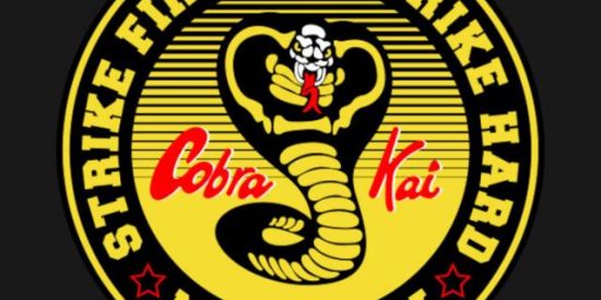 Imagem do grupo de WhatsApp Cobra Kai
