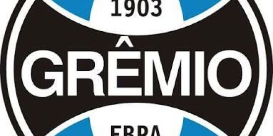 Imagem do grupo de WhatsApp 🇪🇪Gremio1903🇪🇪