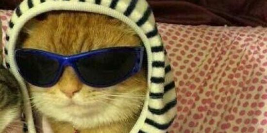 Imagem do grupo de WhatsApp Tudo tipo de figurinha fds