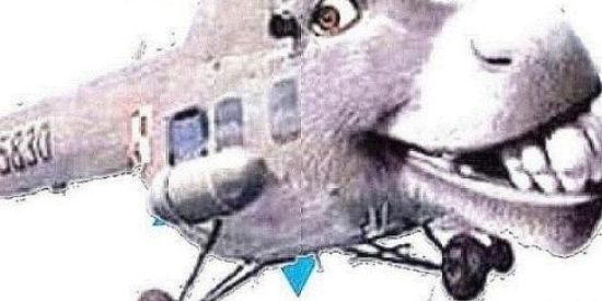 Imagem do grupo de WhatsApp SHITPOST.jar