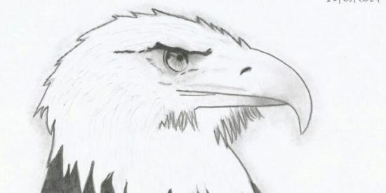 Imagem do grupo de WhatsApp Desenhitas📝📝✏️