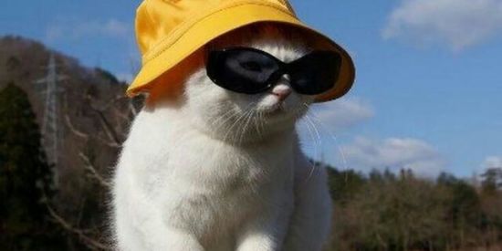 Imagem do grupo de WhatsApp Zoeira🤪🥱😲✌🏼