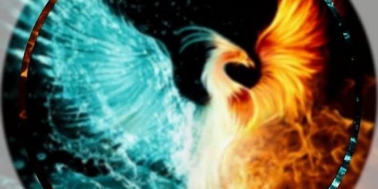 Imagem do grupo de WhatsApp 🔥recrutamento🔥