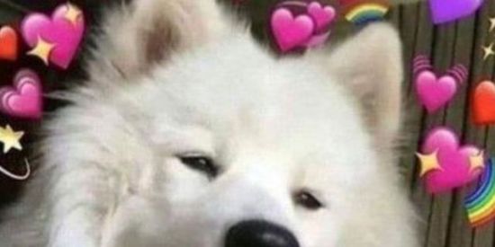 Imagem do grupo de WhatsApp Figuras_shit🔥