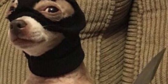 Imagem do grupo de WhatsApp 🏥HØSPÍCÏØ🚑