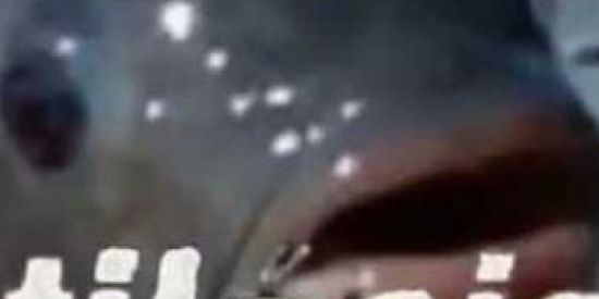 Imagem do grupo de WhatsApp TILÁPIA MEMES🔥