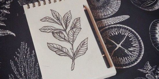 Imagem do grupo de WhatsApp ❤+ ̊*・༓☾desenhistas☽༓・* ̊+✌️