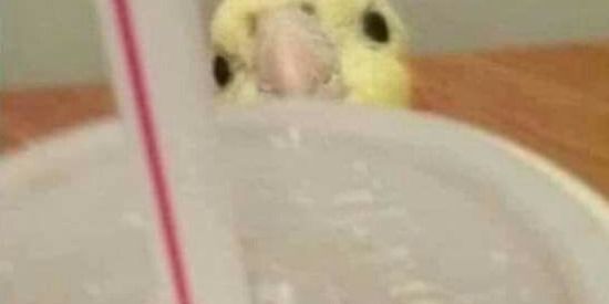 Imagem do grupo de WhatsApp Troca de figu