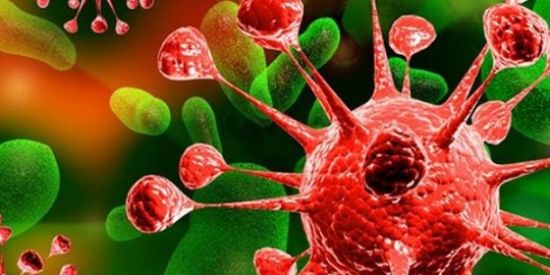 Imagem do grupo de WhatsApp ☠ Epidemias ☠