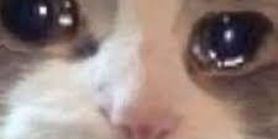 Imagem do grupo de WhatsApp povo estranho 🤠🔫