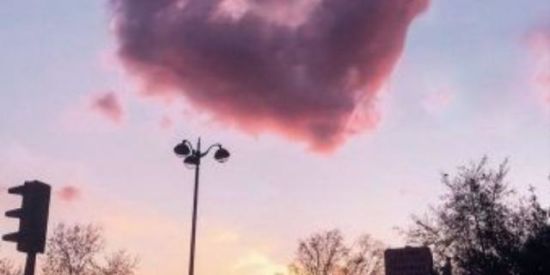 Imagem do grupo de WhatsApp Divulgação de tds as rede