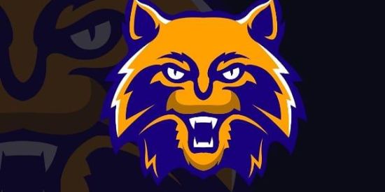 Imagem do grupo de WhatsApp TESTE DA E7 RESPONSA