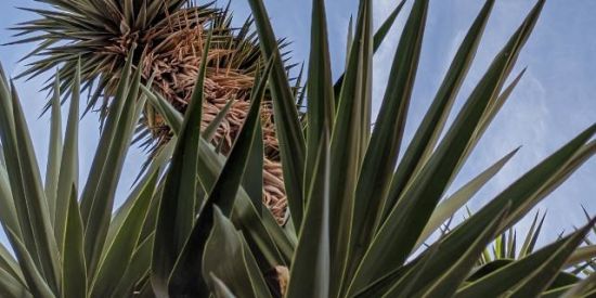 Imagem do grupo de WhatsApp Só figurinhas ✌🏻