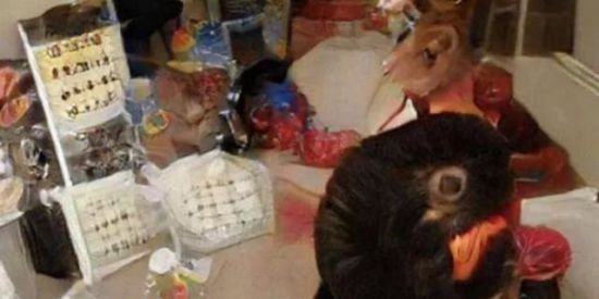 Imagem do grupo de WhatsApp Hospício