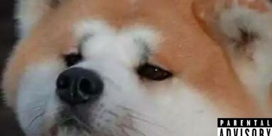 Imagem do grupo de WhatsApp Figurinhas e memes