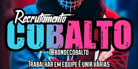 Imagem do grupo de WhatsApp 🦊 Recrutamento cobalto 🦊