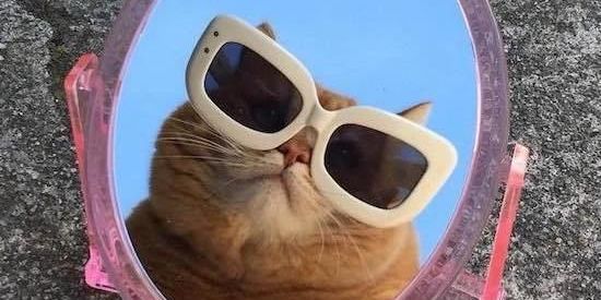 Imagem do grupo de WhatsApp 👾 ɴᴇᴡ ɢᴇɴ ʟᴇᴀᴅᴇʀs 👾