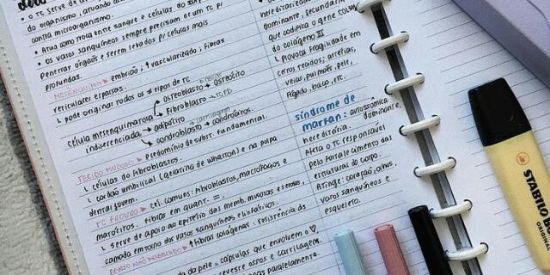 Imagem do grupo de WhatsApp Estudo (foco ENEM)📚👨‍🎓👩‍🎓